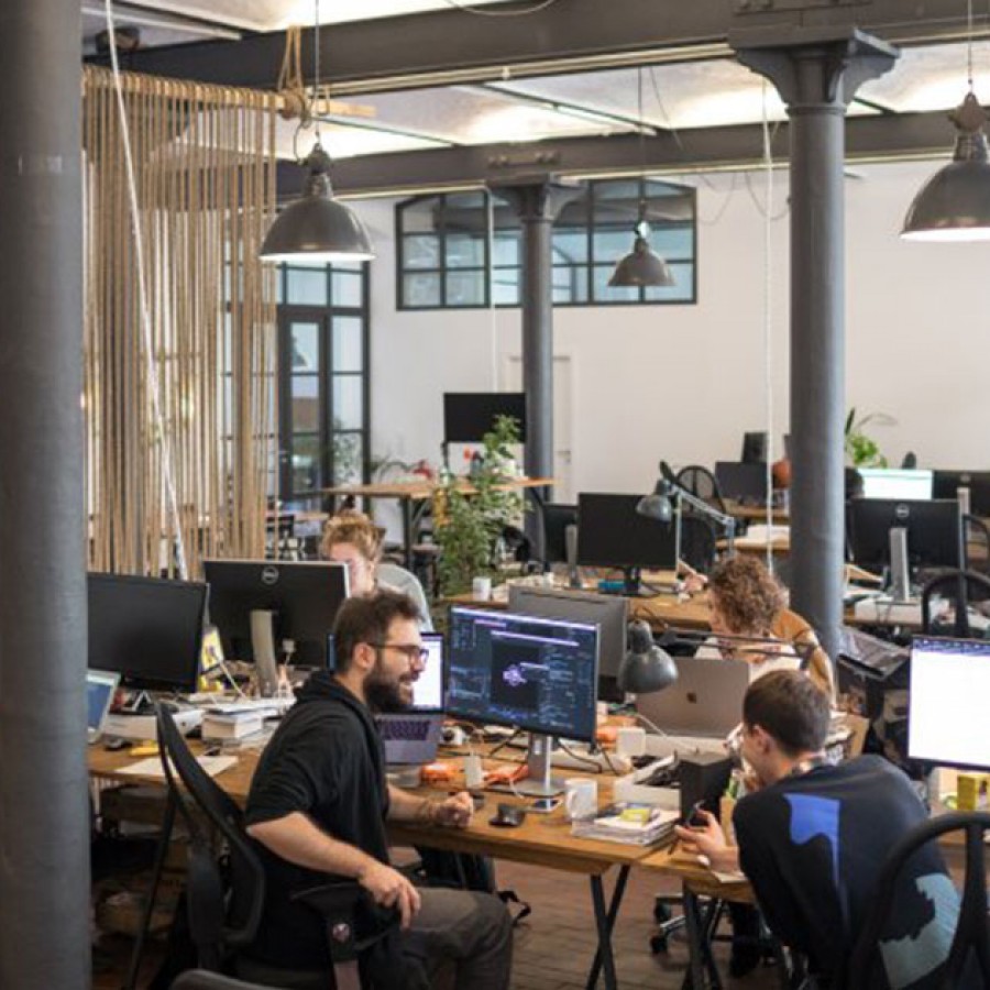 Ecosia is a search engine that uses profits to plant trees